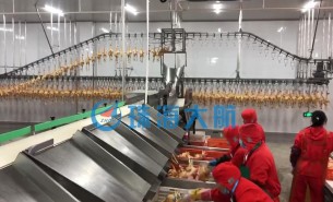 復工后禽肉屠宰加工產量提不上去？快用珠海大航重量分選機