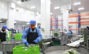 蔬菜配重機：解決人工成本與效率問題，助力蔬菜加工發展